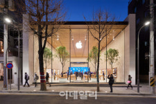 애플, 개발자 아카데미 연내 첫 학생모집하나