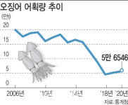 `새끼 생선` 팔면 글로벌 큰손 투자유치 `언감생심`