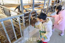 [신축년①] 올해는 소랑 신나게 놀아볼까