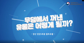 (주)문도건축유산보존연구소(MUNDO for Conservation of Historic Buildings Inc.) | 문화재 보존처리 궁금증 해답 영상, 국립문화재연구소 유튜브서