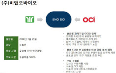 합작벤처 한계 드러낸 ‘비앤오바이오’, 본격적 사업은 언제?
