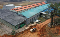 나주 육용오리 농장서 108번째 고병원성 AI 확진