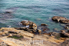 [여행] 애타게 찾아도 보이지 않던 논배미, 모자 밑에 숨었네