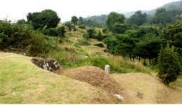 서울시설공단, 서울시립묘지 분묘 개장·화장시 40만원 지원