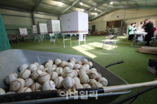 [포토]양천중 야구부 연습실에 마련된 투표소