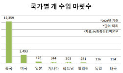 ‘멍멍’ 아닌 ‘왕왕(汪汪)’ 짖는 우리집 댕댕이…혹시 중국 개?