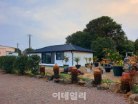 책과 함께 색다른 제주 살기, 독립 서점 옆 동네 숙소