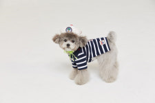 새움글로벌, 신규 패밀리룩 라인 론칭 이어 온라인 자사몰 오픈