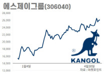 캉골 끌고 헬렌카민스키 밀고…주가 오르는 에스제이그룹