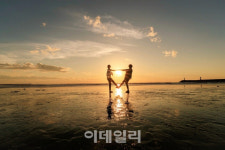 '한국의 갯벌' 세계유산 심사서 '반려' 권고..등재 불투명