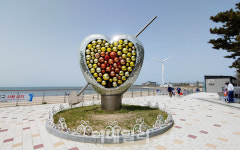 [여행] 봄의 유혹에 이끌려 ‘섬 아닌 섬’으로 들어서다