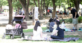 [포토]시원한 나무그늘아래