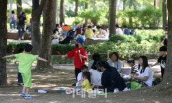 [포토]나무그늘 아래서