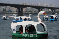 [포토]오리배가 둥둥