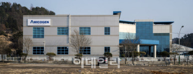 전량수입 배지 국산화 성큼...아미코젠 CMO 생산수율 극대화