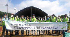 NH농협은행, 영농철 원예농가 일손 돕기