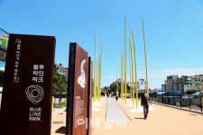 [인싸핫플] 미포~송정까지 4.8km, 해운대 바다 위를 달리다