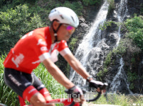 [포토]도심으로 숲속여행 떠나요