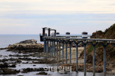 [인싸핫플] 쪽빛바다 넘실 거리는 동해의 바다 위를 날다