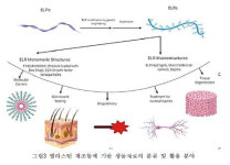 [주목! e기술] 생명공학기술의 진화