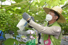 [포토] 농촌일손돕기 참석한 정연태 농협유통 대표