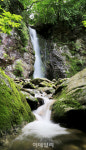 [여행] 무더위 씻는 숲속 은밀한 폭포를 찾아가다