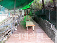 우이동 계곡 등 피서철 평상·천막 설치 불법행위 단속