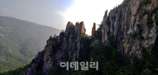 신선이 노닐던 ‘두타산’이 꼭꼭 숨겨둔 비경 속으로[여행]