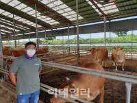 국산 조사료 먹여도 `투뿔` 나오는데 수입사료 왜 쓰나요