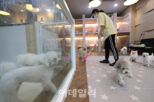 [포토]반려동물호텔 깨끗하게 관리