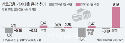 당국 관리받는 농협중앙회…매일 가계대출 모니터링한다