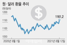 强달러·반도체·델타 변이에 외인 짐싸…환율 1200원 저항선 지킬까