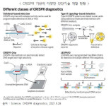 [주목! e기술] 감염병 진단 미래 ‘크리스퍼 유전자가위’
