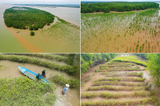 SK이노, 베트남 정부서 맹그로브숲 복원 공로상