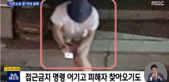 1m 일본도로 아내 살해男 