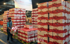 [포토] 추석 앞둔 가락동 청과도매시장