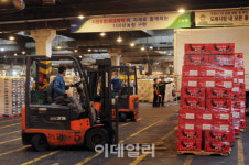 [포토] 가락농산물 도매시장