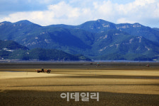 습지와 고인돌, 그리고 갯벌…자연이 준 찬란한 유산[여행_영상]