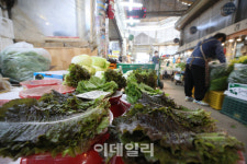 영숙이네농수산물도소매 | [포토]소매가격 오른 상추