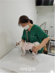 서울시, ‘우리동네 동물병원’ 지정…취약계층 500가구 반려동물 지원