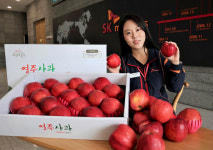 SK머티리얼즈, 임직원 대상 착한 사과 보내기 캠페인