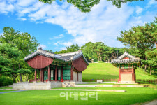 골동품·한약재·수목원까지…없는거 빼고 다 있다