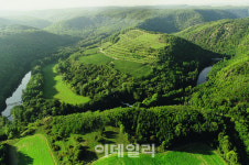 [랜선여행] 싱그런 포도밭에 앉아 ‘와인’ 한잔 어때요