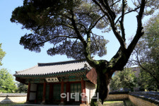 [여행] ‘왕의 숲길’ 걸으며 세종의 애민을 엿보다