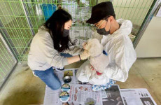 한국엘랑코동물약품㈜, 봉사의 날 Day of Purpose 맞아 사회공헌 캠페인 동참