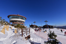 하이원리조트, 얼리버드 스키 패키지 판매