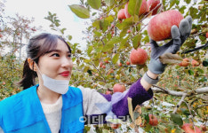대진대 학생들 농촌일손돕기 봉사활동 펼쳐