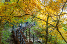[여행] ‘악’ 쓰고 ‘치’ 떨며 오른 치악산, 쉬엄쉬엄 즐기다