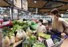 30% 넘게 오른 배추, 여기가면 20~30% 싸게 산다