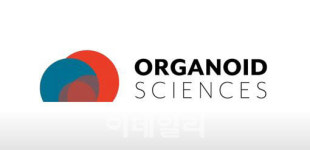 [VC가 선택한 바이오]오가노이드사이언스·휴먼스케이프 등 투자 유치